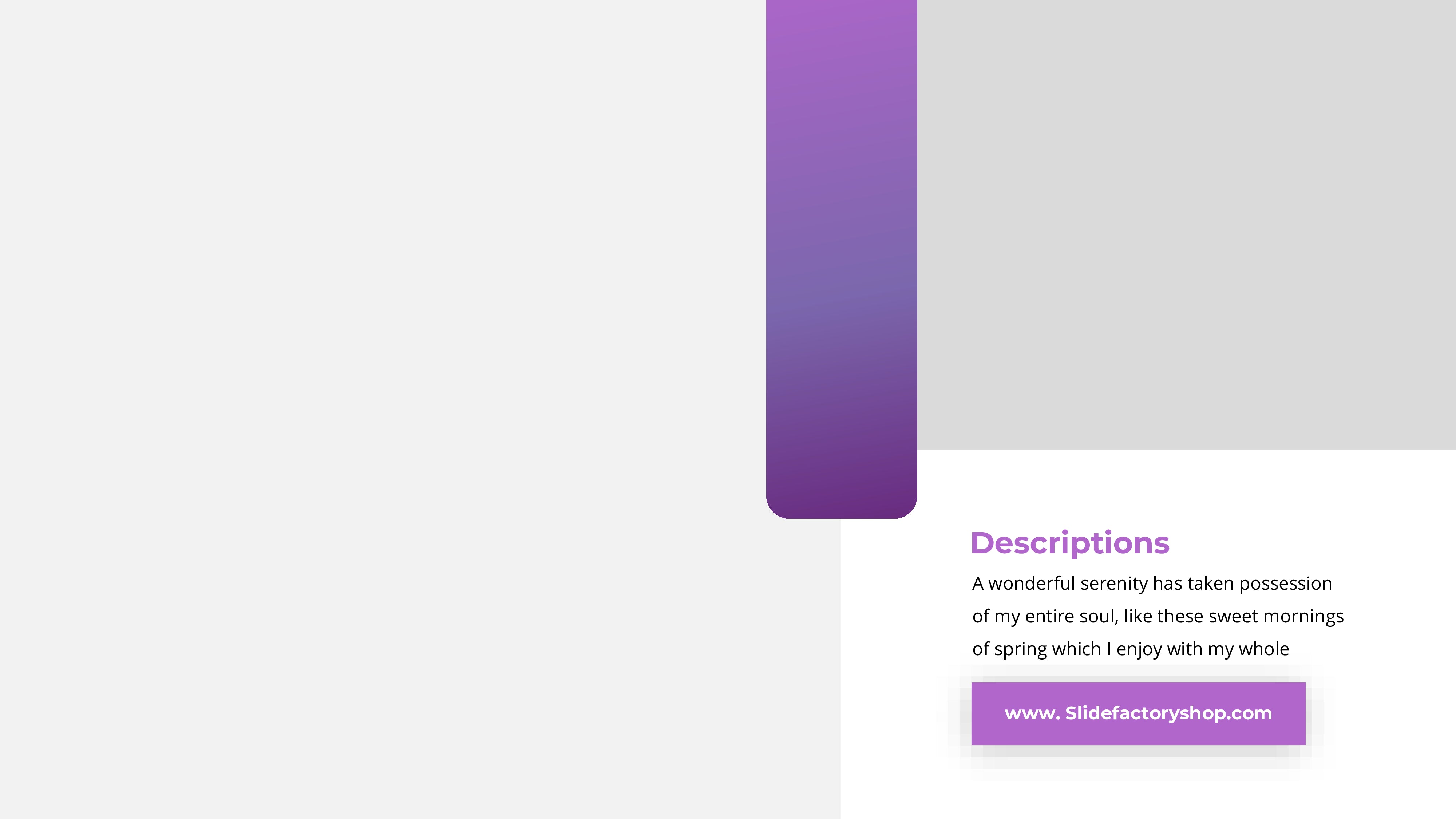 MODERA PowerPoint template purple